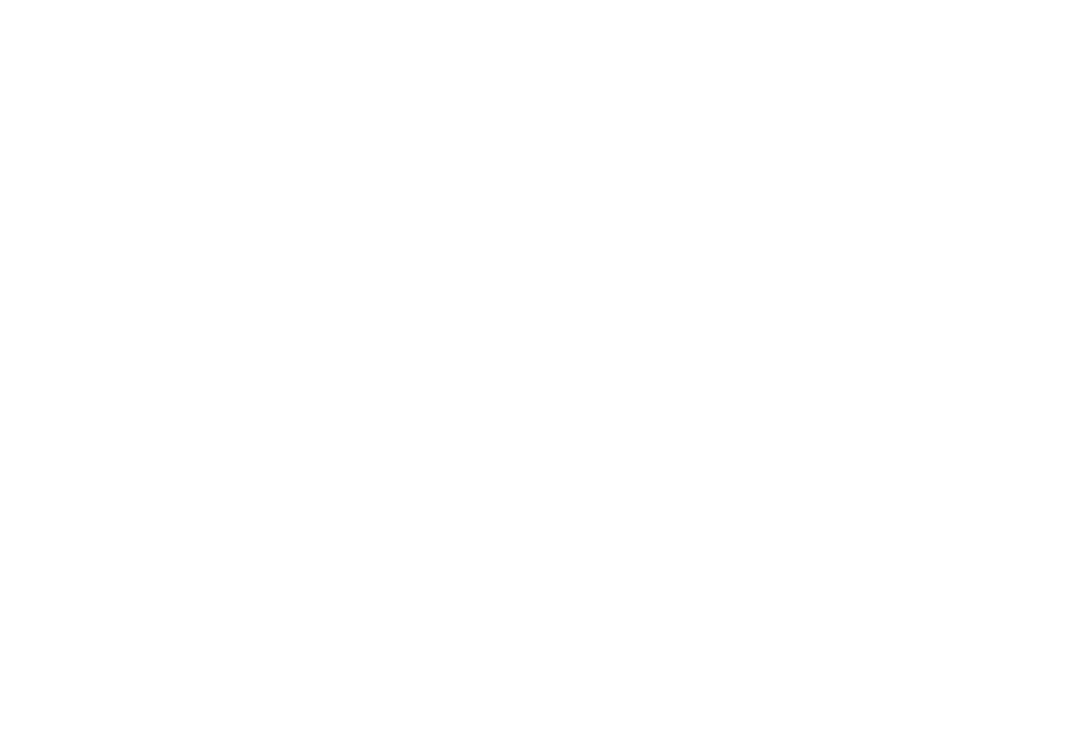 SES