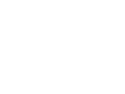 SES